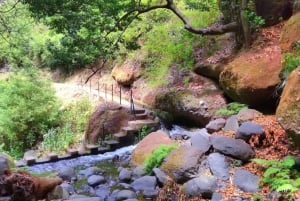 From Funchal: Wet your hair in the amazing Moinhos Levada