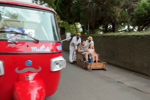 Madeira: Monte Toboggan + Gamla stan med tuk-tuk av MadTuk