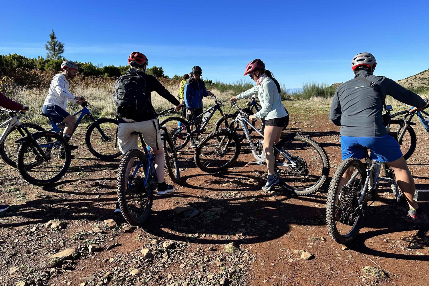 マウンテンバイク、クロスカントリー半日+