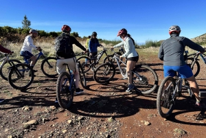 マウンテンバイク、クロスカントリー半日+