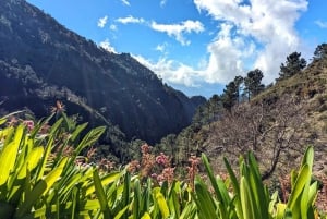 Nuns Valley + Eira do Serrado: Private Cabriolet Tour in 4h