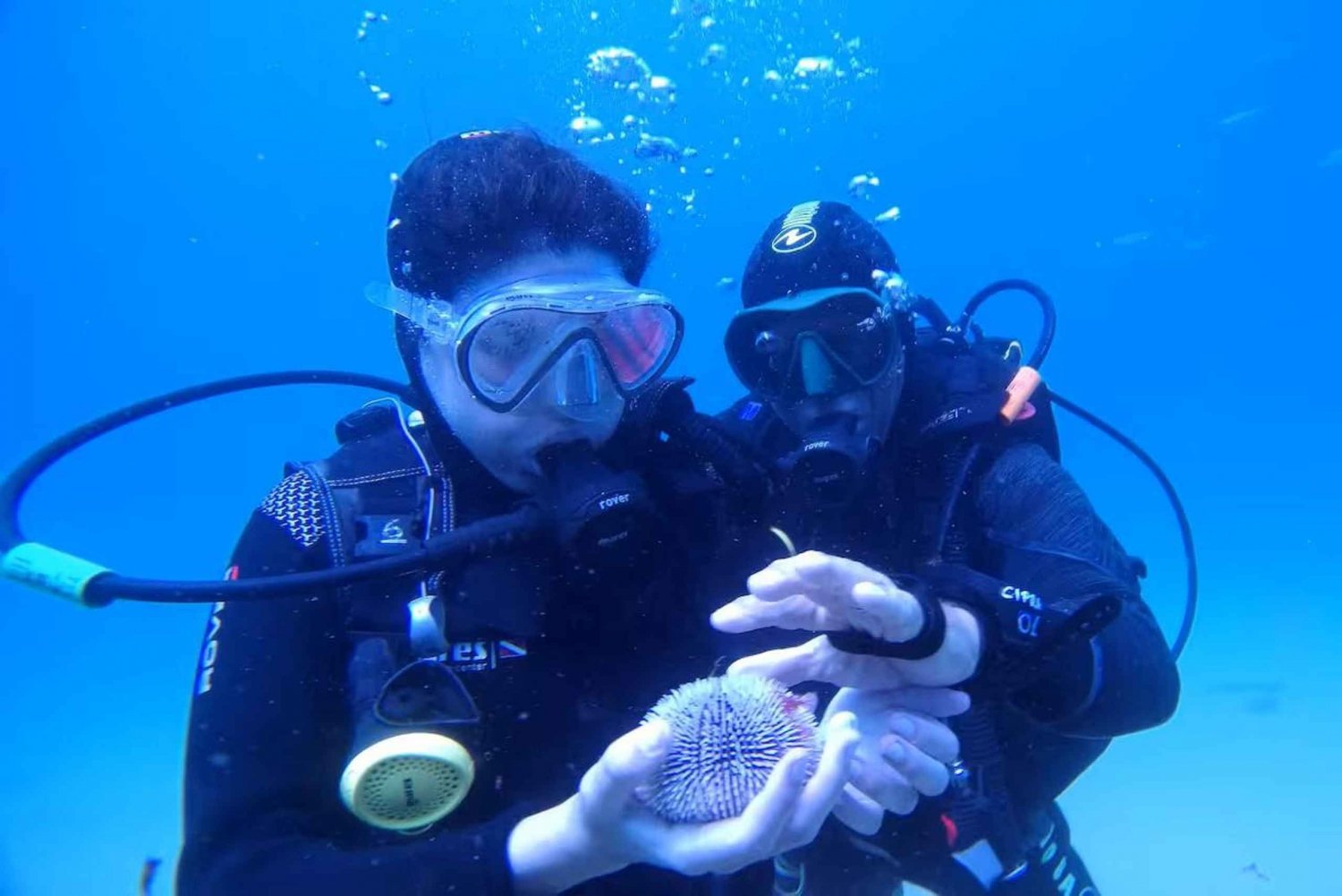 マデイラ島からの海での初めてのスキューバダイビング