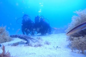 My first scuba dive in the Ocean from Madeira