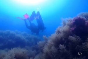 My first scuba dive in the Ocean from Madeira