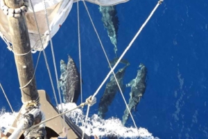 Funchal: Piratskibskrydstogt med vin- og honningkagesmagning