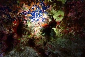 Snorkel nocturno: ¡Una experiencia inolvidable!