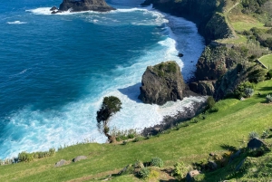 Nordöstra Madeira Jeep Safari naturälskare Jeeps med öppet tak