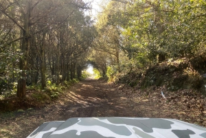 Nordöstra Madeira Jeep Safari naturälskare Jeeps med öppet tak