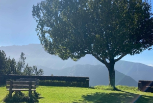 Nordöstra Madeira Jeep Safari naturälskare Jeeps med öppet tak