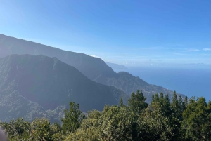 Nordöstra Madeira Jeep Safari naturälskare Jeeps med öppet tak