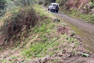 Nordöstra Madeira Jeep Safari naturälskare Jeeps med öppet tak