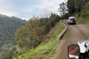 Nordöstra Madeira Jeep Safari naturälskare Jeeps med öppet tak
