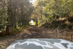 North-East Madeira Jeep Safari Tour for the Nature Lovers