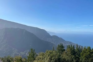 North-East Madeira Jeep Safari Tour for the Nature Lovers