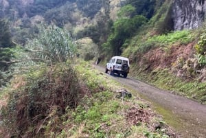 North-East Madeira Jeep Safari Tour for the Nature Lovers