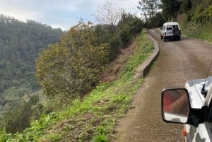 North-East Madeira Jeep Safari Tour for the Nature Lovers