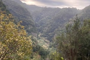 North-East Madeira Jeep Safari Tour for the Nature Lovers