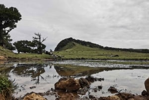 West: 4x4 Tour | Seixal Beach | Porto Moniz Natural Pools |