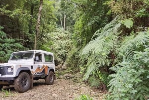 West: 4x4 Tour | Seixal Beach | Porto Moniz Natural Pools |