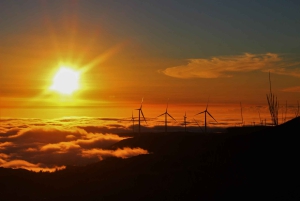 NorthWests 50 nyanser av grönt, klippbassänger och vattenfall Tour