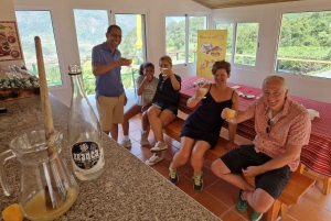 NorthWests 50 nyanser av grönt, klippbassänger och vattenfall Tour