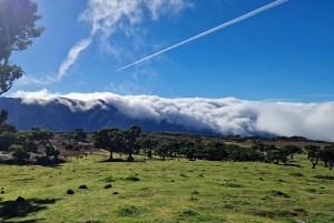 NorthWests 50 nyanser av grönt, klippbassänger och vattenfall Tour