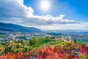 Nun's Valley & Pico dos Barcelos Madeira Island Tour