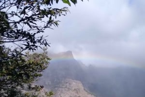 Funchal: Nuns Valley Easy Walk with Mountain Surroundings