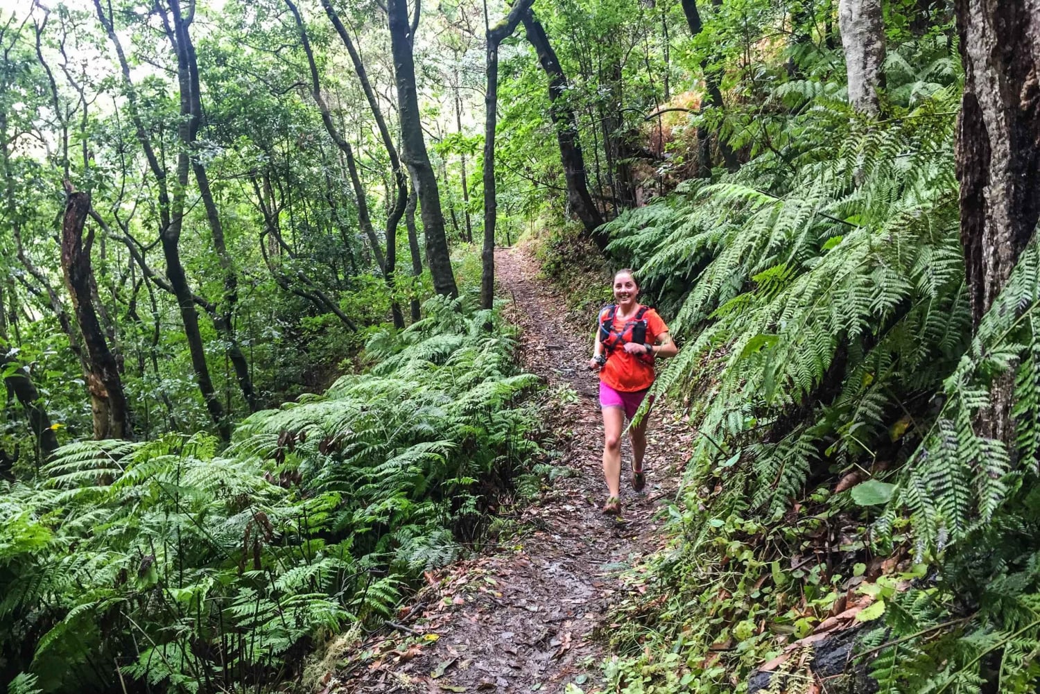 Bieg od oceanu do gór