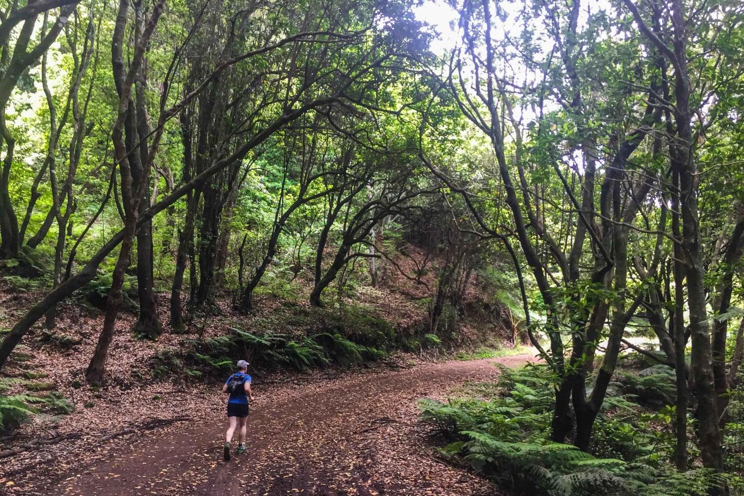 Bieg od oceanu do gór