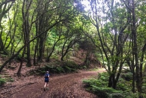 Bieg od oceanu do gór