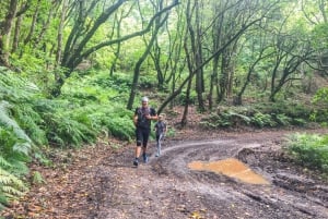 Bieg od oceanu do gór