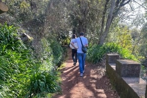Degustazione di sidro di Madeira e pranzo