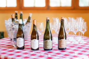 Degustazione di sidro di Madeira e pranzo