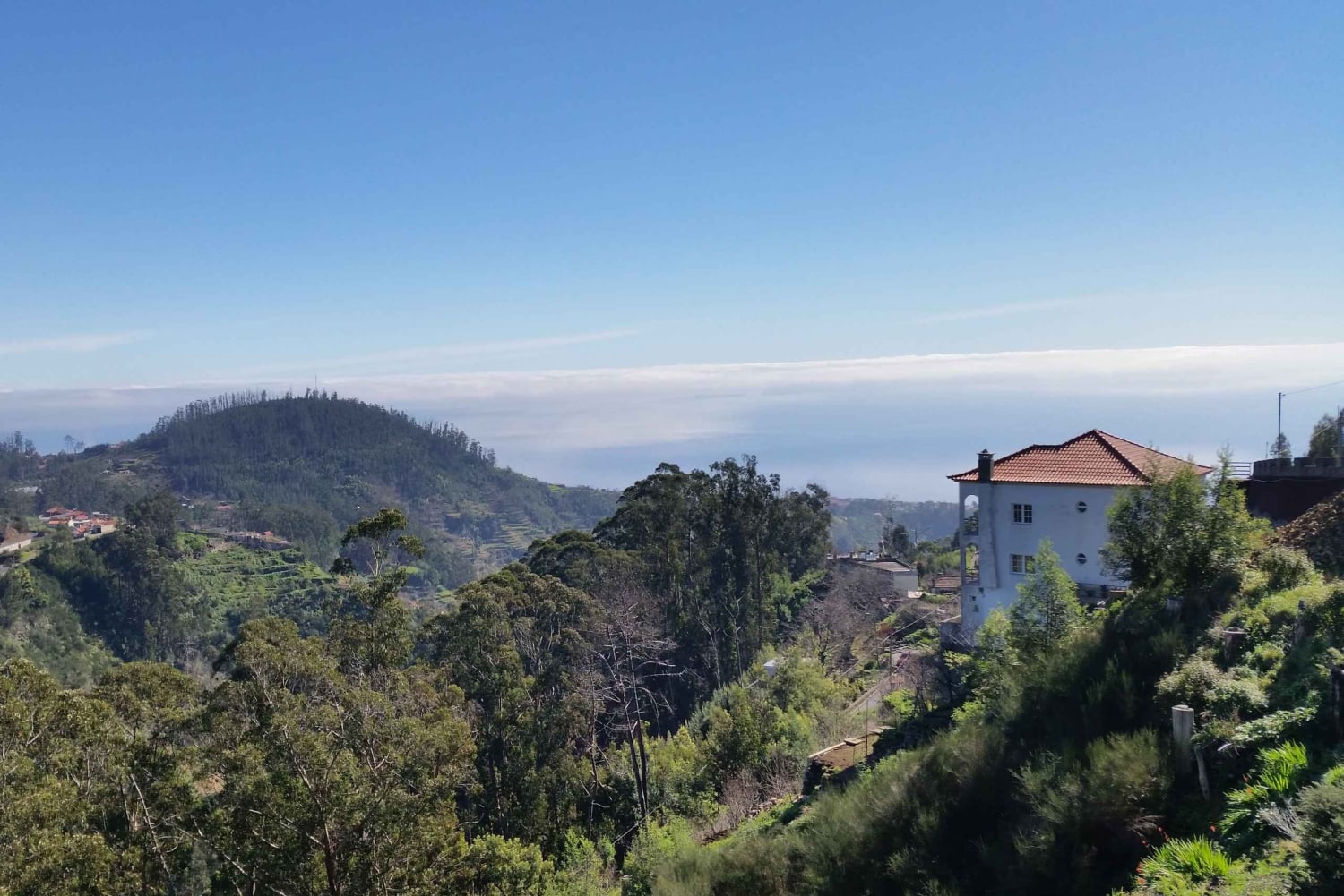 Półdniowy poranny spacer po Paradise Valley.