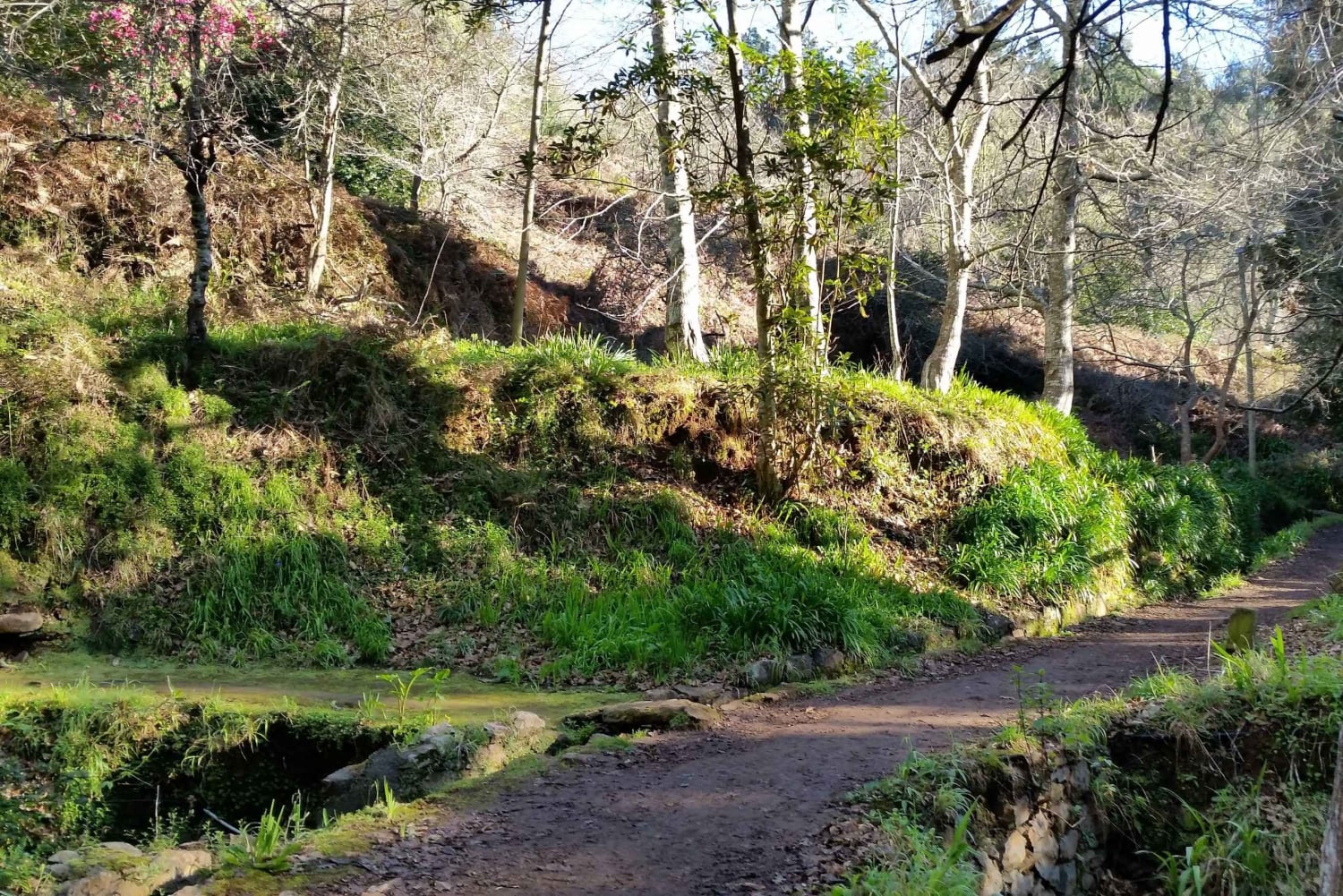 Półdniowy poranny spacer po Paradise Valley.