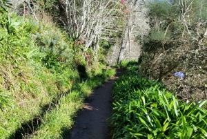 Paradise Valley half-day morning walk.