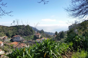 Półdniowy poranny spacer po Paradise Valley.