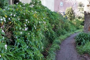 Półdniowy poranny spacer po Paradise Valley.