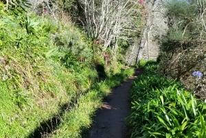 Półdniowy poranny spacer po Paradise Valley.