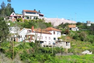 Półdniowy poranny spacer po Paradise Valley.