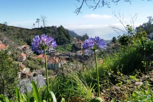 Półdniowy poranny spacer po Paradise Valley.