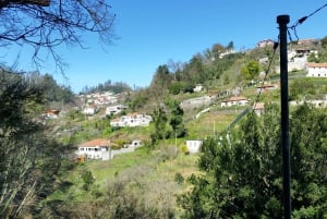 Półdniowy poranny spacer po Paradise Valley.