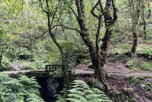 Madeira: Sunrise Hike Transfer to Pico do Arieiro (PR1)