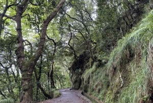 Madeira: Sunrise Hike Transfer to Pico do Arieiro (PR1)