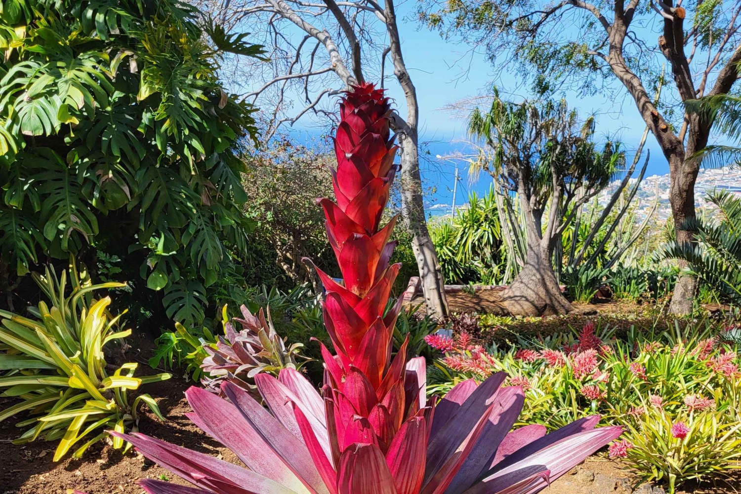 Pico Arieiro, Santana, São Lourenço y más: día completo + servicio de recogida.