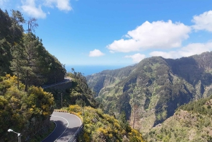 Pico Arieiro, Santana, São Lourenço y más: día completo + servicio de recogida.