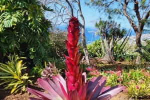 Pico Arieiro, Santana, São Lourenço y más: día completo + servicio de recogida.