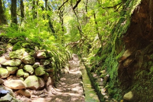 Pico Arieiro, Santana, São Lourenço y más: día completo + servicio de recogida.