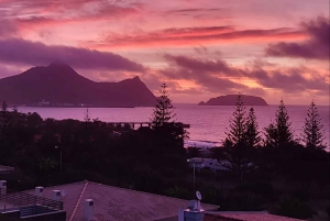 Pico Arieiro, Santana, São Lourenço y más: día completo + servicio de recogida.